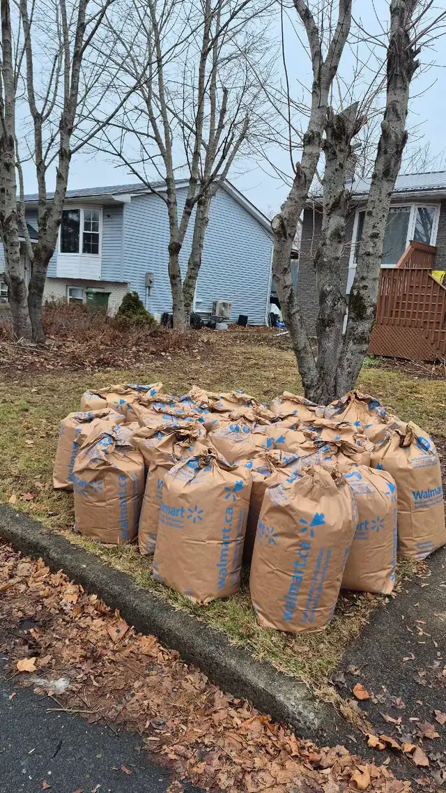 leaf raking / yardwork / painting425646072393912322