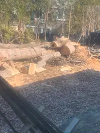 Free fire wood - beaconsfield area