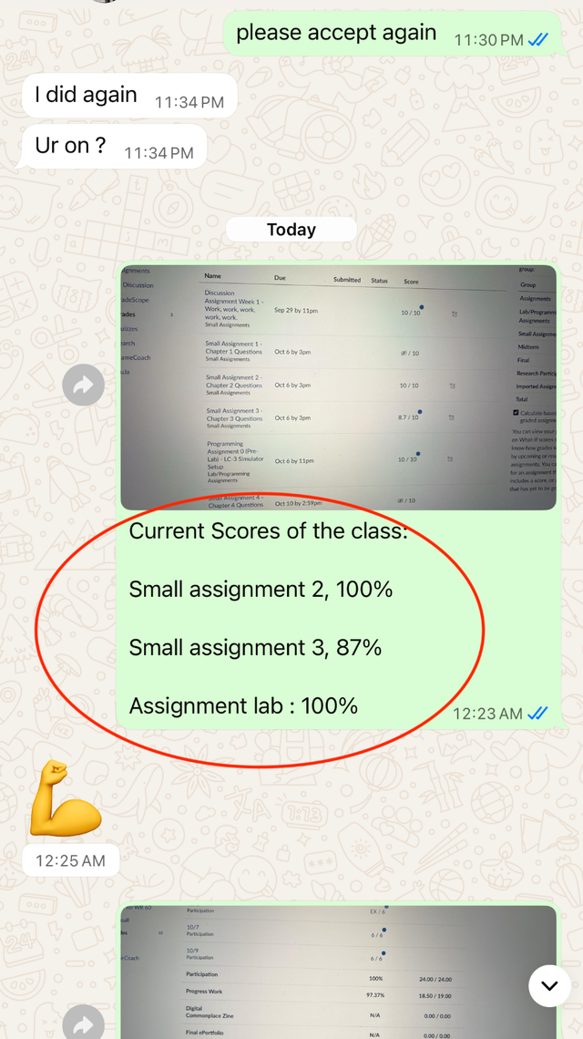 Assignment Help & Essay Writing Canada | Research & Coding Help64628753136897124