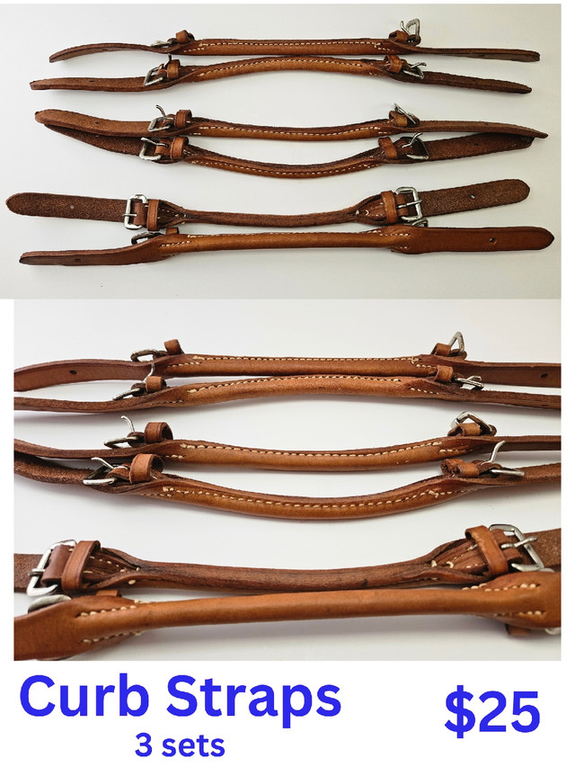 Horse tack: curb straps, boot pulls, etc. in Equestrian & Livestock Accessories in Bridgewater