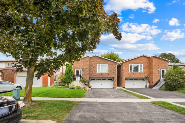  Recently Renovated 1-Bedroom , Separate Entrance Basement