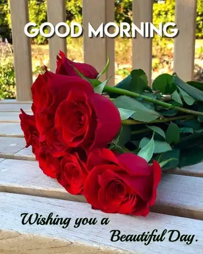 Job opening for a housemaker, View more