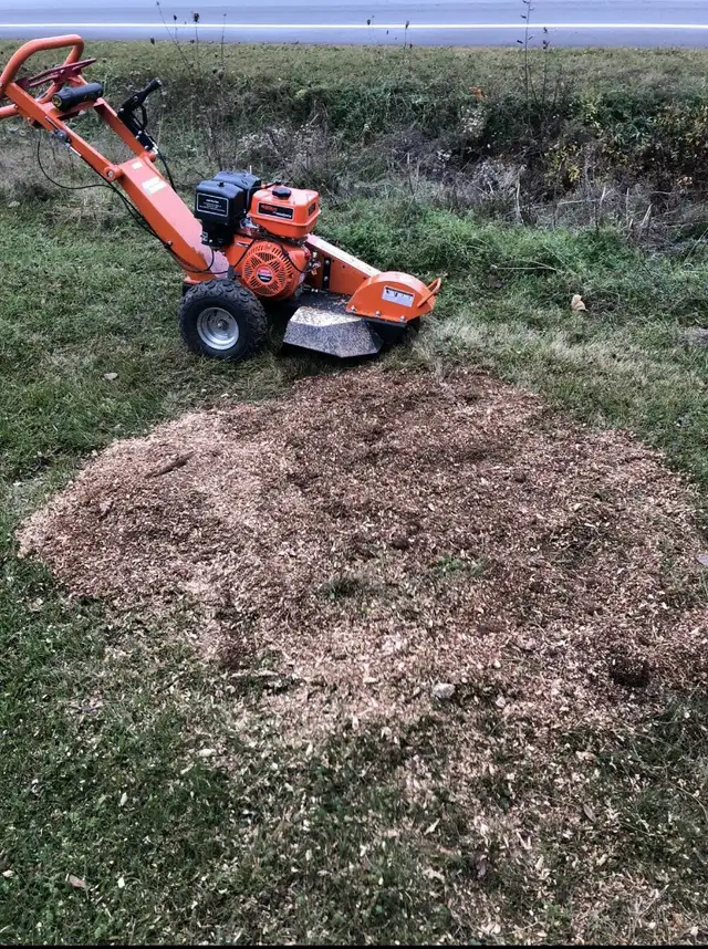 Tree service and Stumping  in Lawn, Tree Maintenance & Eavestrough in Charlottetown - Image 6
