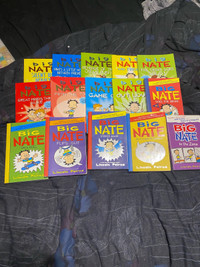 Big Nate collection