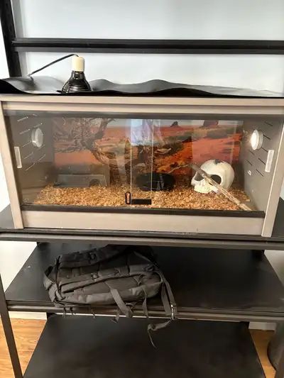 reptile enclosure , View more