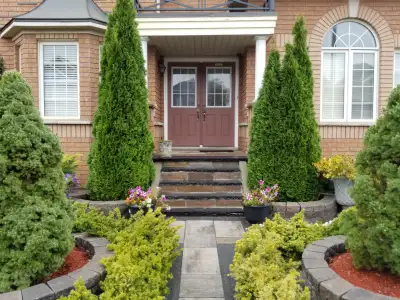 Two bedroom newly renovated legal basement available in Brampton, View more