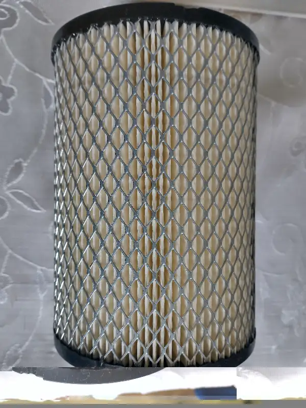 Golf  Cart  Air  Filter in Golf in London - Image 3