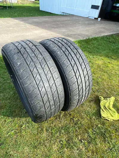 2 Matrix Tour RS would do for another season asking 30$ for both . 225/55R16