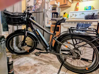 Radrover 6 plus electric assist needs work(600 obo), View more