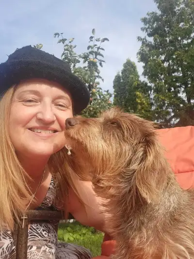 DOG BOARDING/DOGGY DAYCARE/DOG TRAINING, View more
