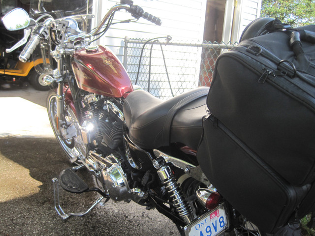 Harley Sportster Motorcycle in Street, Cruisers & Choppers in Sarnia - Image 2