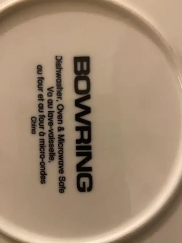 BOWRING DINNERWARE SET533465101008916481