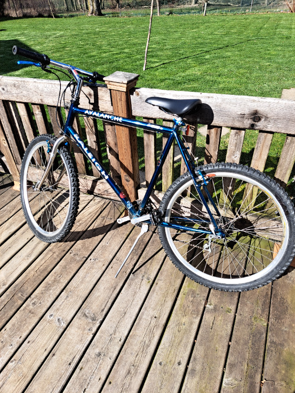 Used Bicycle for sale in Mountain in Hamilton - Image 2