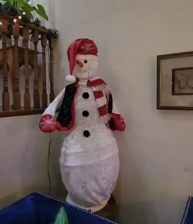 Singing/ dancing frosty snowmen $350 FIRM