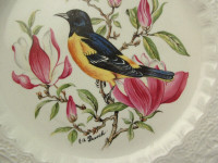Royal Cauldon Bird Plate