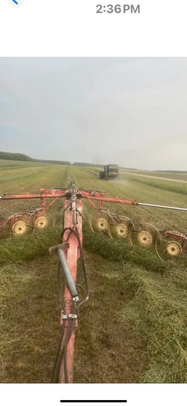 Hay bales for sale852-7885 in Farming Equipment in Nipawin - Image 5