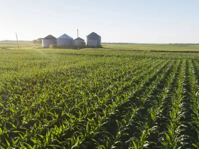 Looking for farm land for the 2026 season. I pay competive rates, 3 year crop rotation. Can fix old...