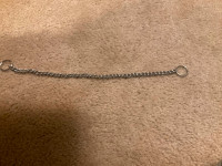 Dog, Small Choke Chain Collar