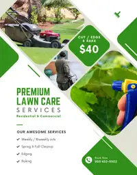 Grass Cutting / Lawn Care 2024