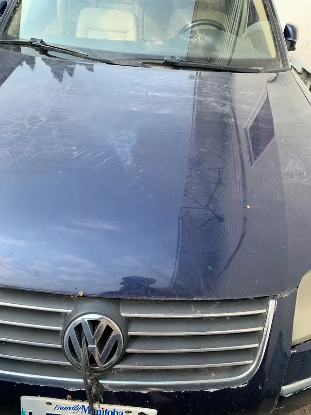 2003 VW Passat516704222441656325