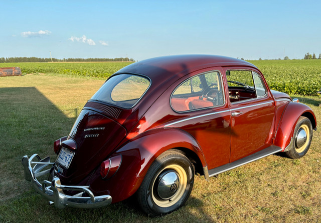 65 VW BEETLE 1300 SENIOR OWNER NORUST REBUILT MOTOR RUN/DRIVE A1 in Classic Cars in Brantford - Image 4