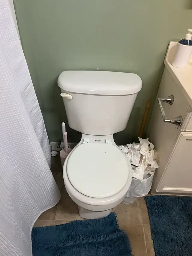 Plumbing Services in Plumbing in Ottawa - Image 10