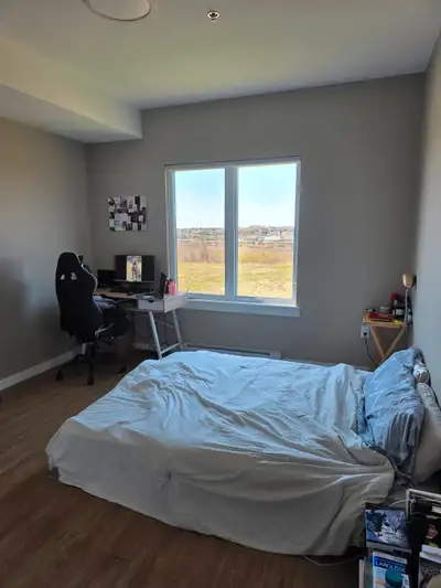 Female Housemate Wanted