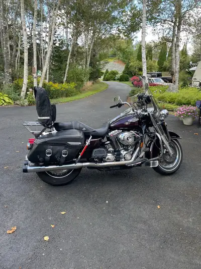 Bike was inspected and all oils changed before storing. Comes with detachable backrest and luggage r...