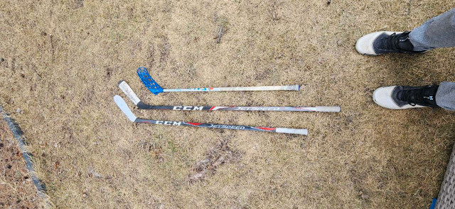 Hockey sticks in Hockey in Winnipeg - Image 2