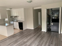 Downtown Core Apt -- In Unit Laundry- Walk to LRT Station!