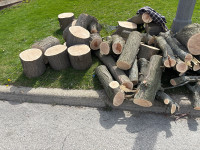 Free firewood hardwood