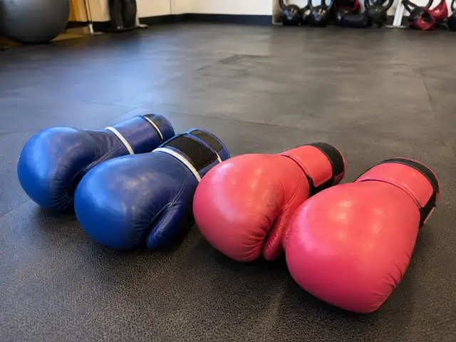 Boxing/Kickboxing Partner?