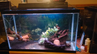 Some setup for Aquarium Fish Tank for sale 