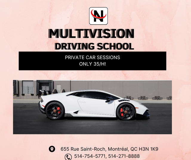 CAR DRIVING COURSE WITH PROFESSIONAL65680491659267121