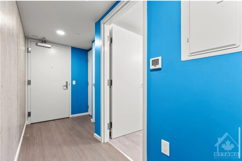 Beautiful Studio Apartment For Rent - Little Italy, Carleton 2