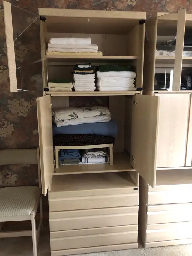Elegant wall unit in Bookcases & Shelving Units in Markham / York Region - Image 8