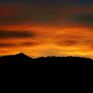 Seeking Evening Work, View more