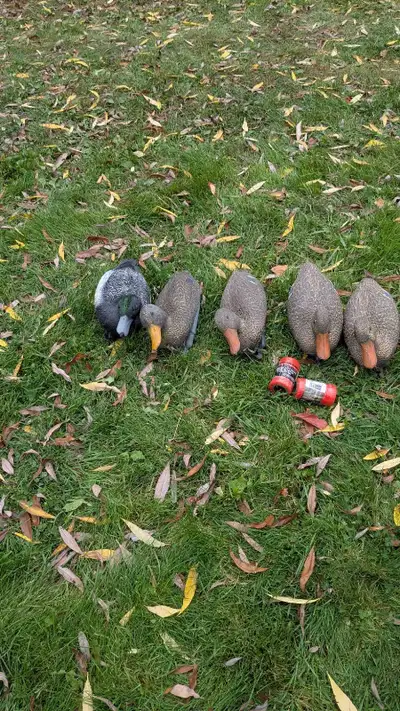 duck decoys , View more