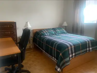 Female Professional/Student Looking for a Room?  Available NOW!!