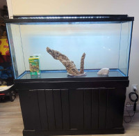 60 gallon terrarium with stand and led light bar