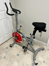 Indoor Cycling Exercise Bike with LCD Monitor