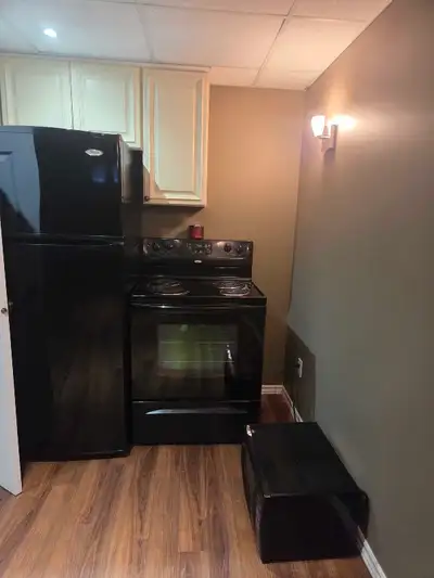 Bedroom plus den and washroom Shared laundry seperate from both suites