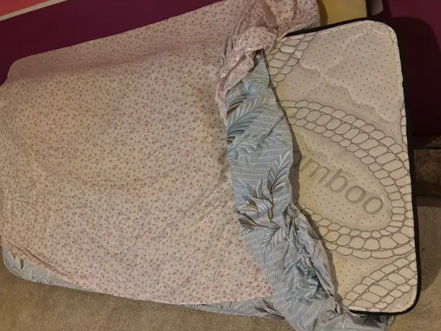 twin bed: frame + mattress, foldable sofas, nice shelves in Beds & Mattresses in Kingston - Image 3