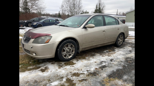2005 Nissan Altima 2.5S in Cars & Trucks in Fredericton - Image 3