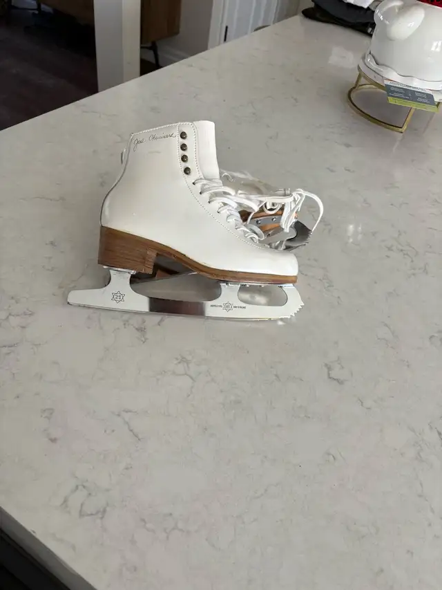 quality figure skates 5.564623144683778120