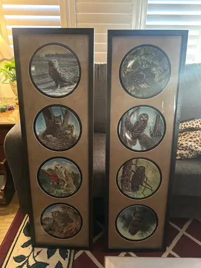 Owl Plates (8) in frames, View more