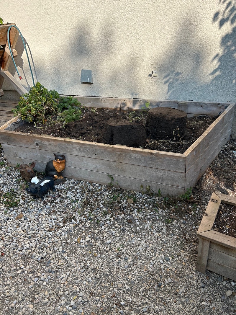 Garden Box & Soil Free Stuff Winnipeg Kijiji