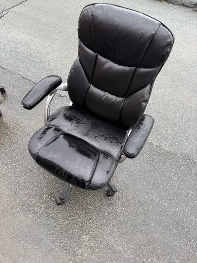 Executive Office Chair, View more