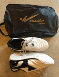 Martial art/ Taekwondo shoes