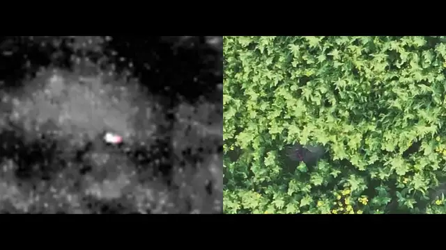 Professional Drone Services – Your Drone Pilot in Canada! in Photography & Video in Edmonton - Image 3